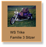WS Trike Familie 3 Sitzer
